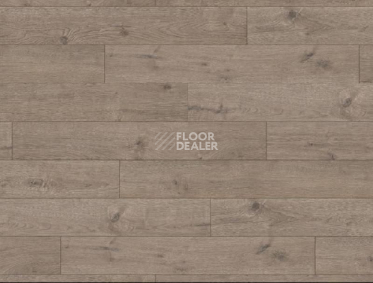 Ламинат Haro Tritty 100 4V ДУБ ПОРТЛЭНД СЕРЫЙ 533121 фото 1 | FLOORDEALER